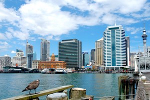 Billeje Auckland