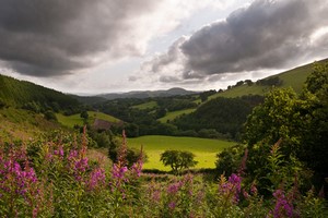 Billeje Carmarthen