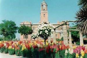 Billeje Harrismith