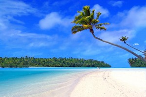 Billeje Hawaii