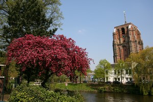 Billeje Leeuwarden