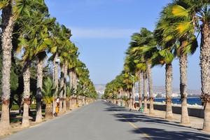 Billeje Limassol