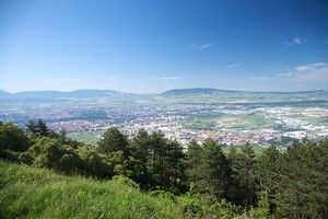 Billeje Pamplona