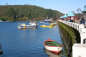 Billeje Puerto Montt