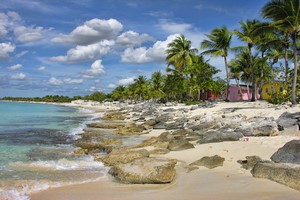 Billeje Santo Domingo